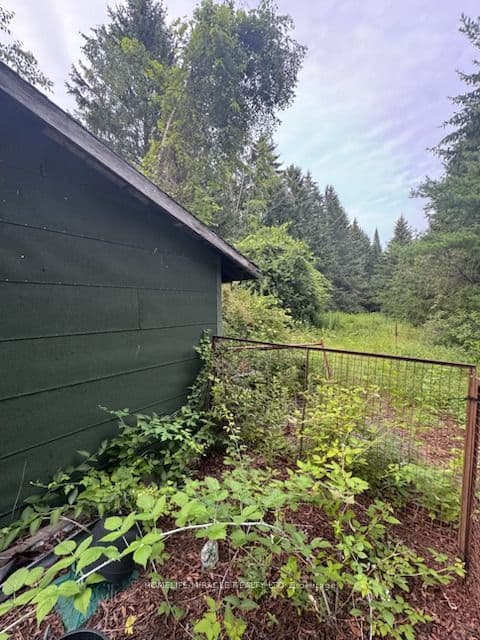 869 Townline Road — photograph 4