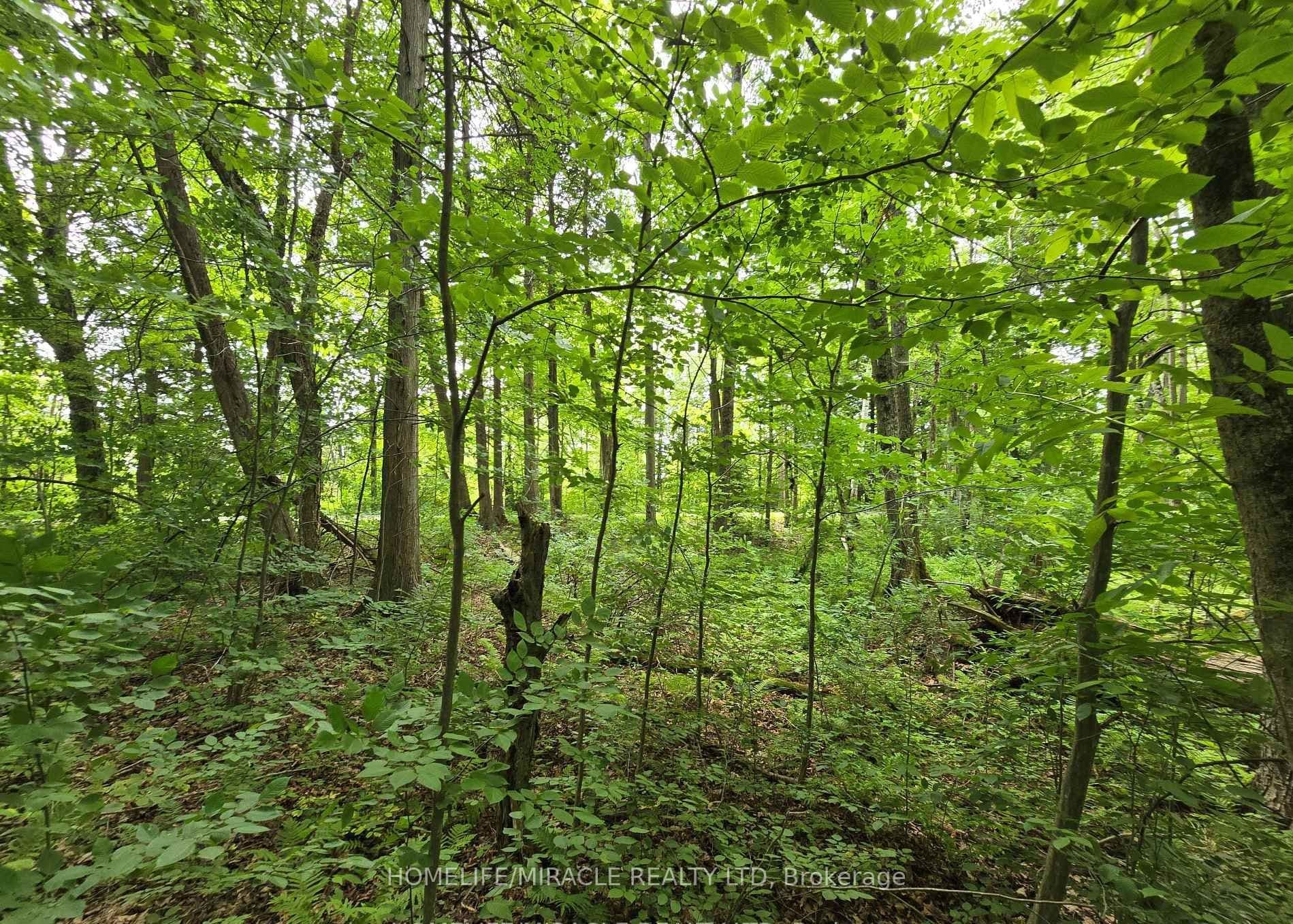 000 Cedar Sands Road — photograph 2