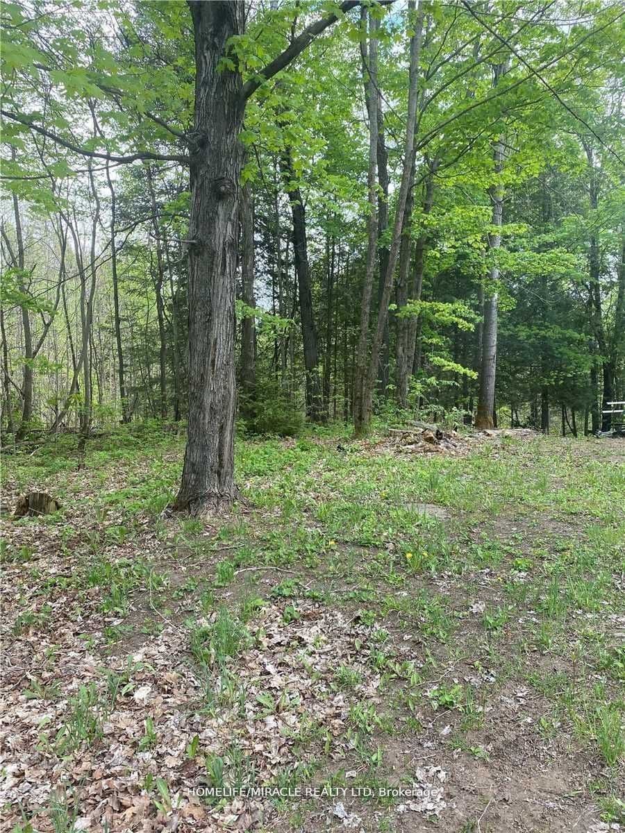 3460 Harburn Road — featured photograph