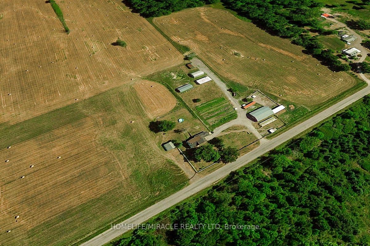 970 carl Road — photograph 5