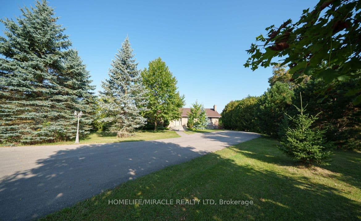 385 Mount Pleasant Road — photograph 2
