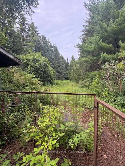 869 Townline Road — photograph 3