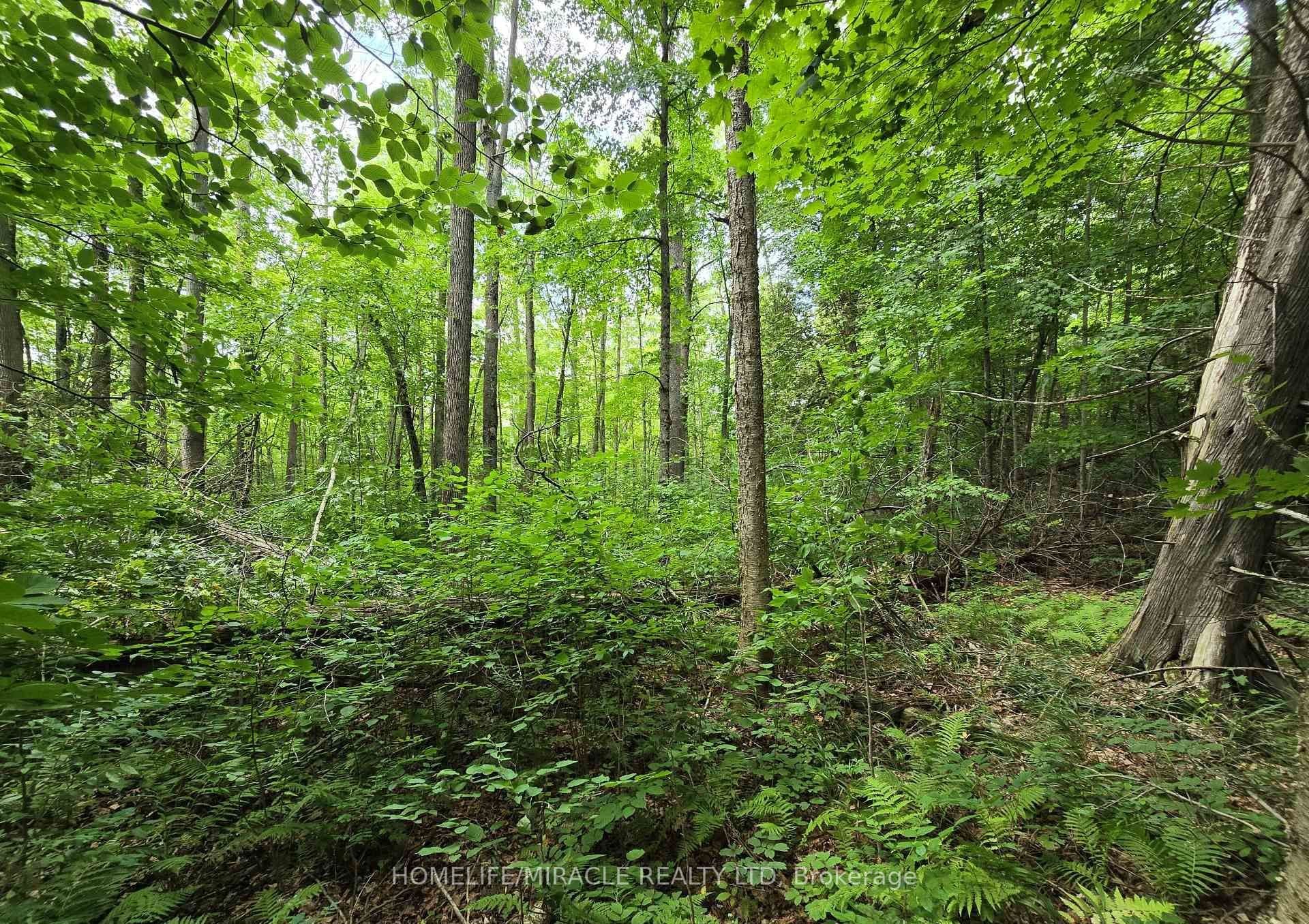 000 Cedar Sands Road — featured photograph