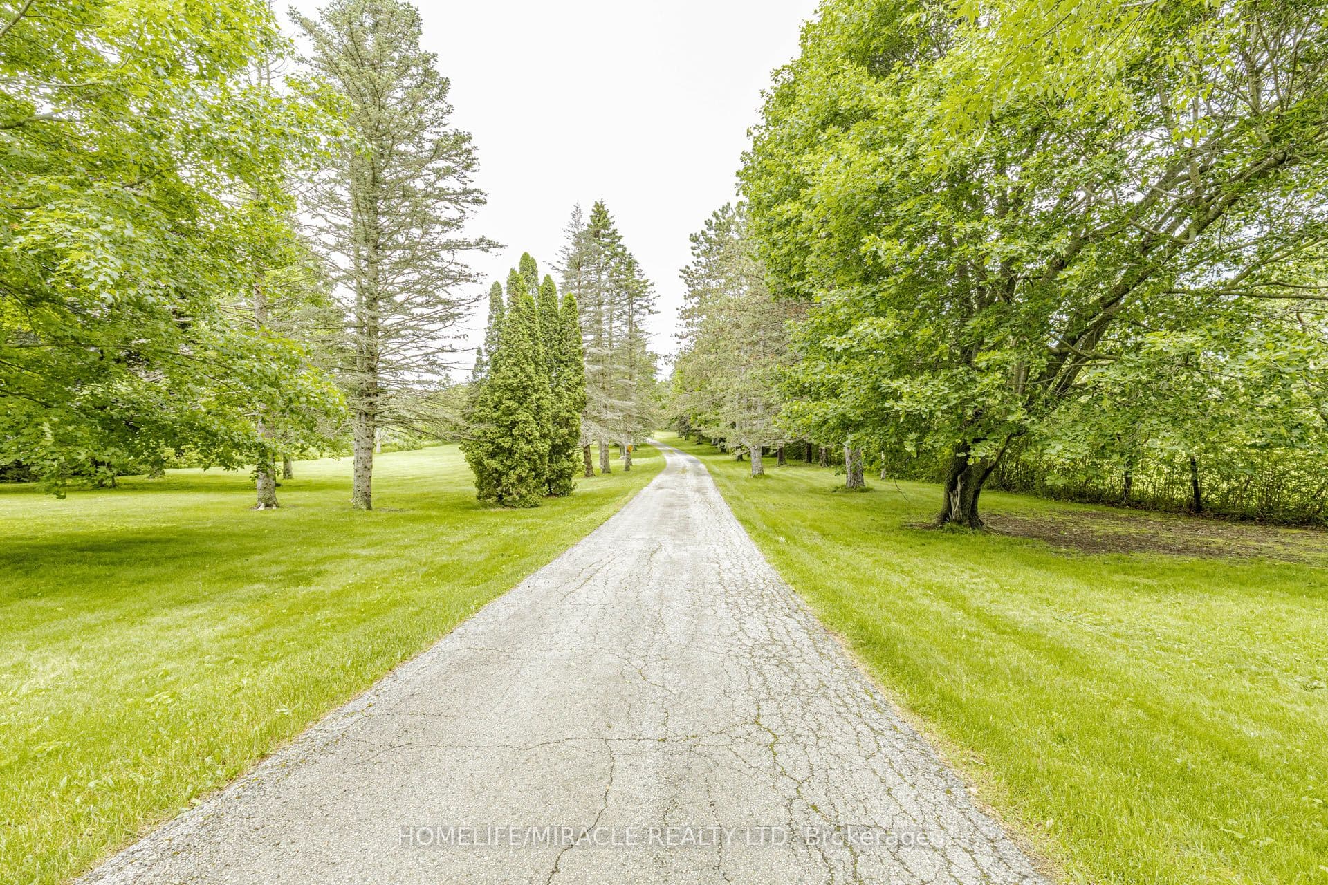 11948 Dublin Line — photograph 4