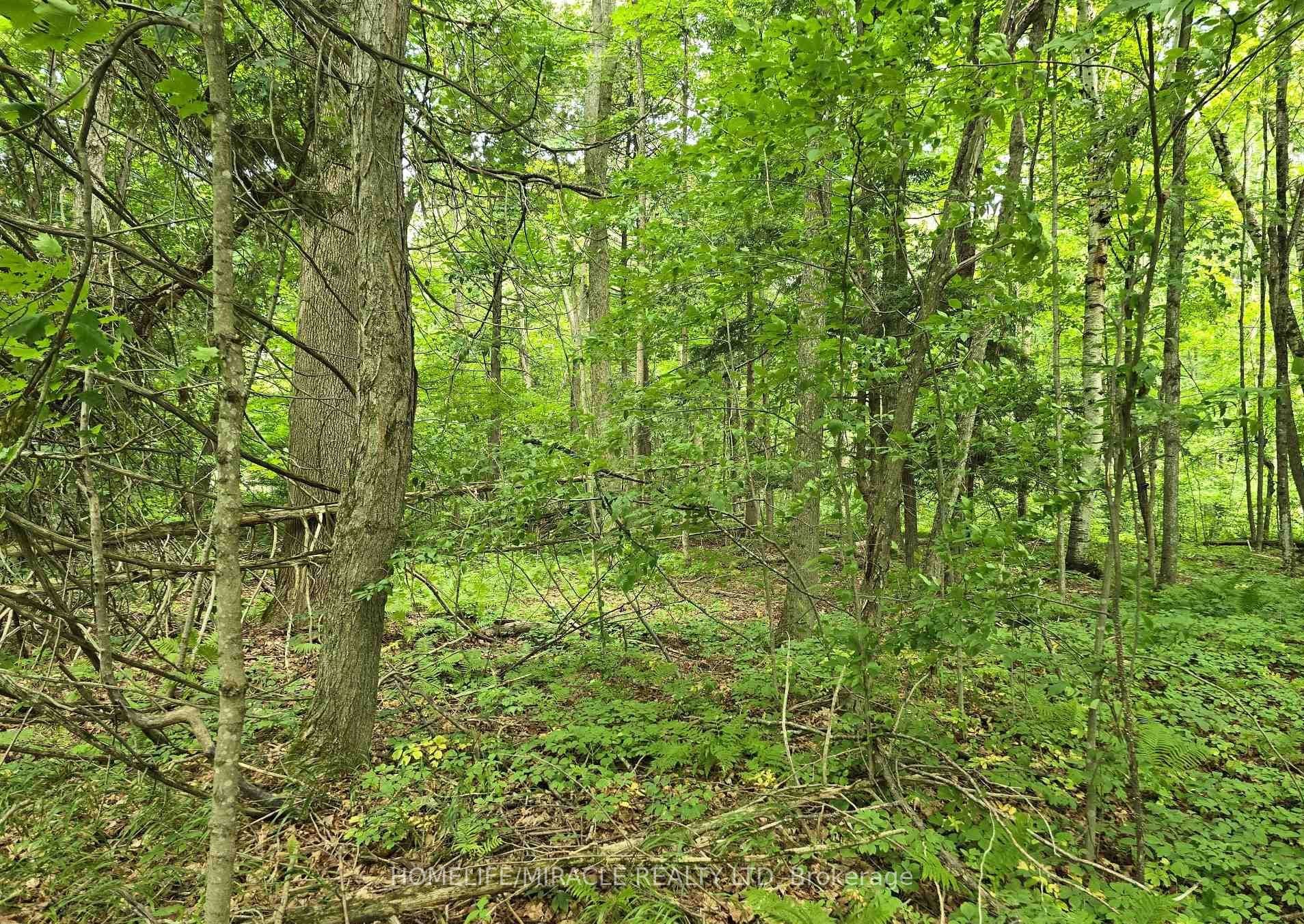 000 Cedar Sands Road — photograph 3